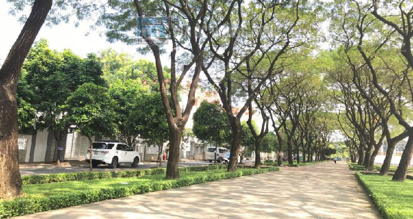 Không gian sống xanh ở dự án căn hộ cao cấp TOPAZ TWINS - Biên Hòa, Đồng Nai 1